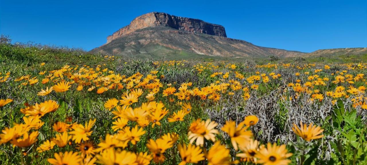 Mountain View Guesthouse Vanrhynsdorp Kültér fotó