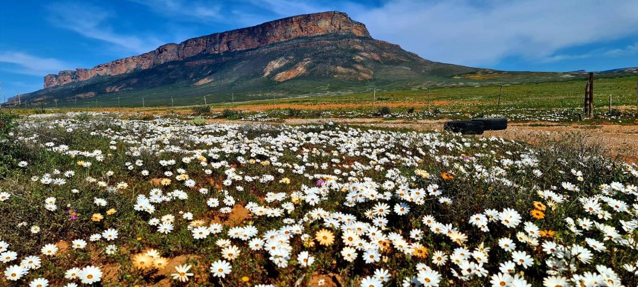 Mountain View Guesthouse Vanrhynsdorp Kültér fotó